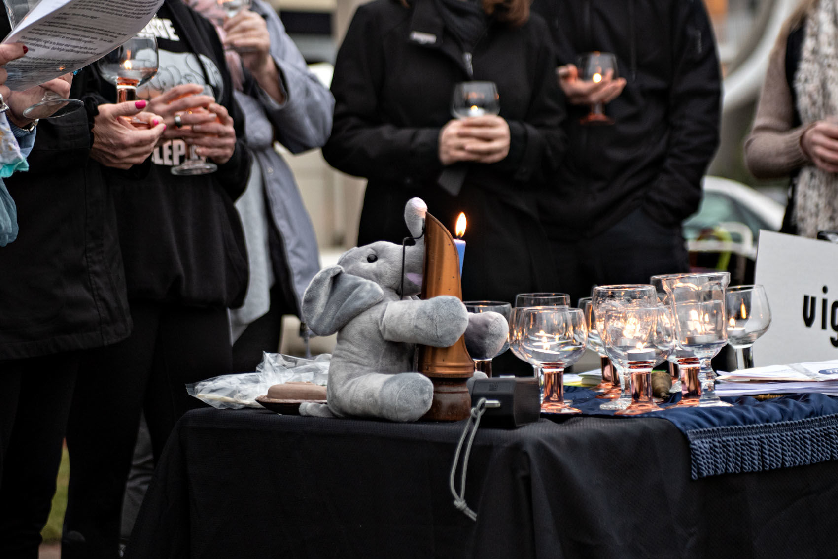010520_nws_elephants